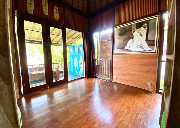 Blind Dog Sanur